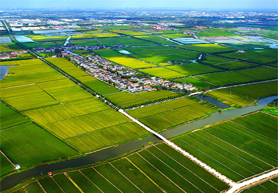 鄭州農(nóng)業(yè)四情監(jiān)測(cè)預(yù)警系統(tǒng)